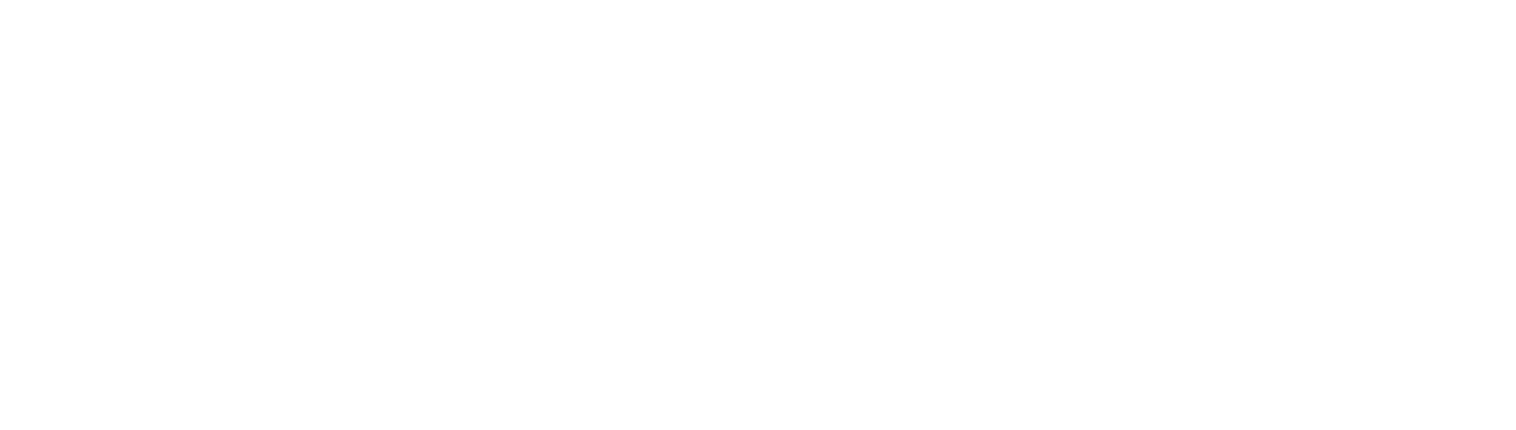CaseFlow